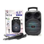Haut Parleur Bluetooth 6.5″ QL-602